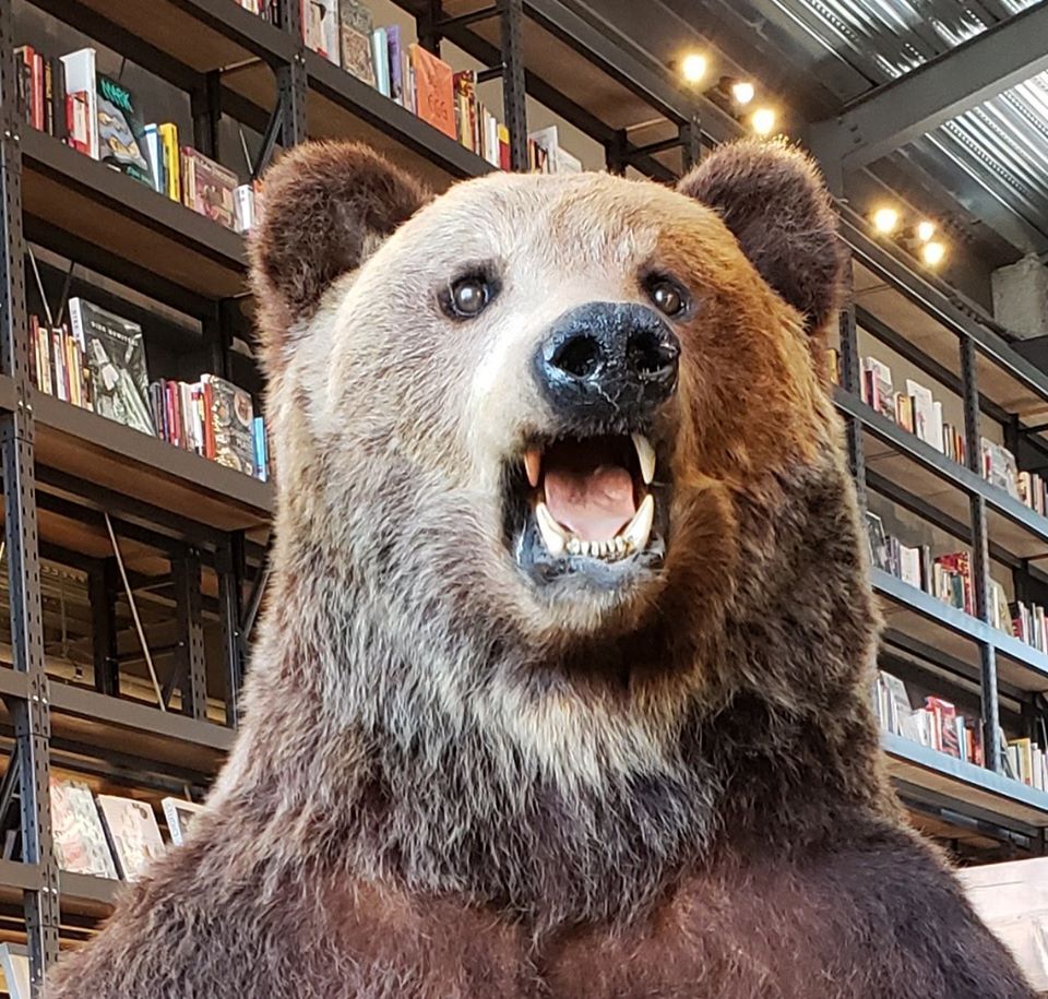 お知らせテストタイトル